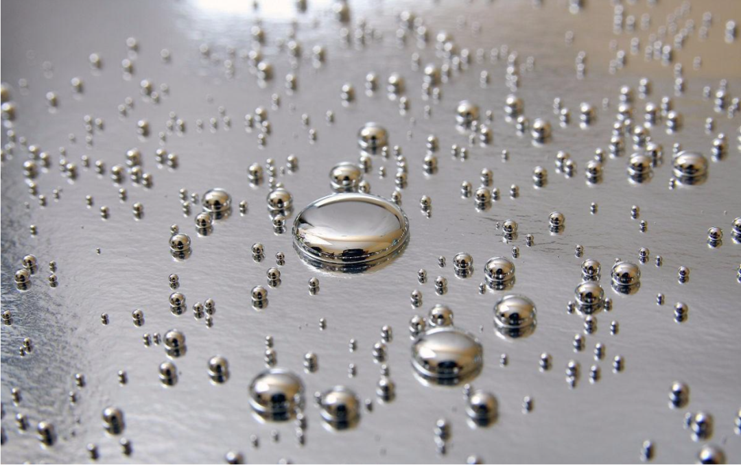 金日光教授:【永不忘当年钱老劝导我们“用当代科学传承《黄帝内经》医理和建立《中药本草》科学药理标准”的教导】• 三十七(图10) 金日光教授:【永不忘当年钱老劝导我们“用当代科学传承《黄帝内经》医理和建立《中药本草》科学药理标准”的教导】• 三十七(图10)