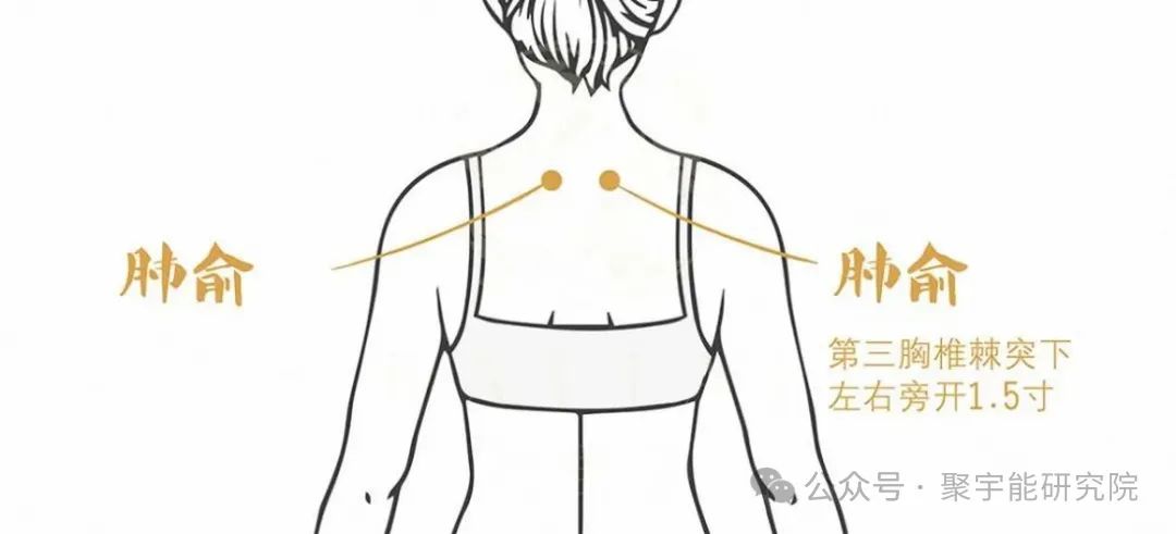 金日光教授:【永不忘当年钱老劝导我们“用当代科学传承《黄帝内经》医理和建立《中药本草》科学药理标准”的教导】• 三十八(图8) 金日光教授:【永不忘当年钱老劝导我们“用当代科学传承《黄帝内经》医理和建立《中药本草》科学药理标准”的教导】• 三十八(图8)