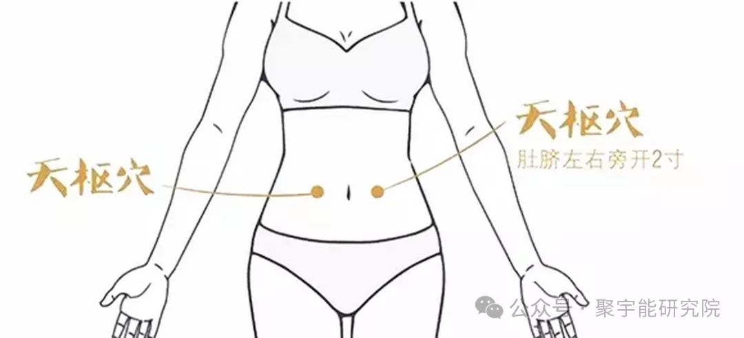 金日光教授:【永不忘当年钱老劝导我们“用当代科学传承《黄帝内经》医理和建立《中药本草》科学药理标准”的教导】• 三十八(图13) 金日光教授:【永不忘当年钱老劝导我们“用当代科学传承《黄帝内经》医理和建立《中药本草》科学药理标准”的教导】• 三十八(图13)