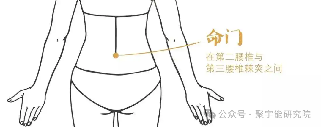 金日光教授:【永不忘当年钱老劝导我们“用当代科学传承《黄帝内经》医理和建立《中药本草》科学药理标准”的教导】• 三十八(图14) 金日光教授:【永不忘当年钱老劝导我们“用当代科学传承《黄帝内经》医理和建立《中药本草》科学药理标准”的教导】• 三十八(图14)