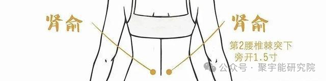 金日光教授:【永不忘当年钱老劝导我们“用当代科学传承《黄帝内经》医理和建立《中药本草》科学药理标准”的教导】• 三十八(图15) 金日光教授:【永不忘当年钱老劝导我们“用当代科学传承《黄帝内经》医理和建立《中药本草》科学药理标准”的教导】• 三十八(图15)