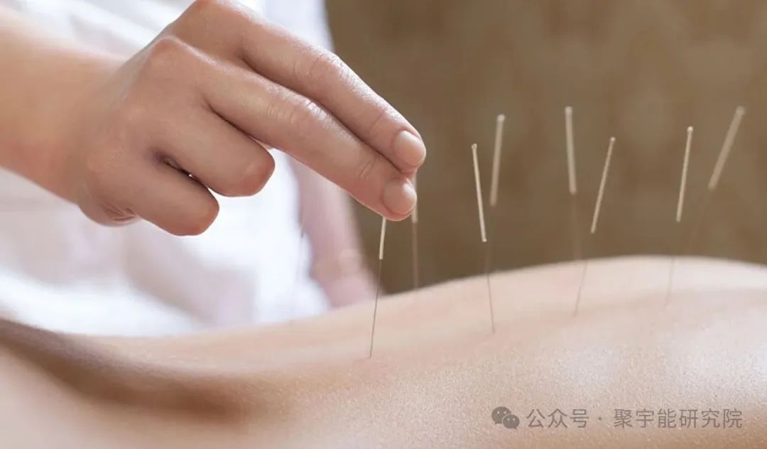 金日光教授：（六十五）永不忘当年钱老劝导我们“用当代科学传承《黄帝内经》医理和建立《中药本草》科学药理标准”的教导(图7)
