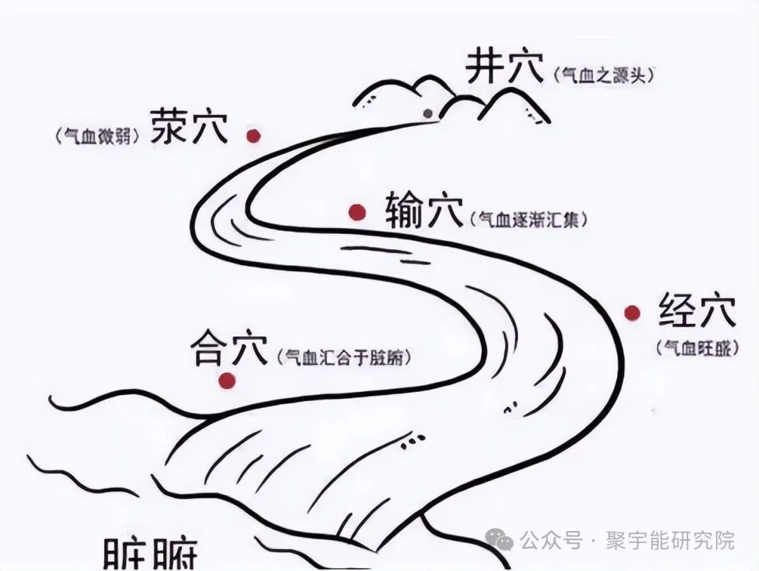 金日光教授：（六十五）永不忘当年钱老劝导我们“用当代科学传承《黄帝内经》医理和建立《中药本草》科学药理标准”的教导(图6)