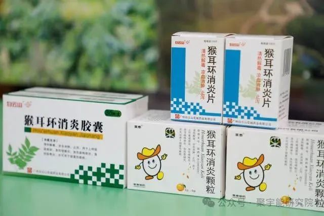 金日光教授：（六十六）永不忘当年钱老劝导我们“用当代科学传承《黄帝内经》医理和建立《中药本草》科学药理标准”的教导(图13)
