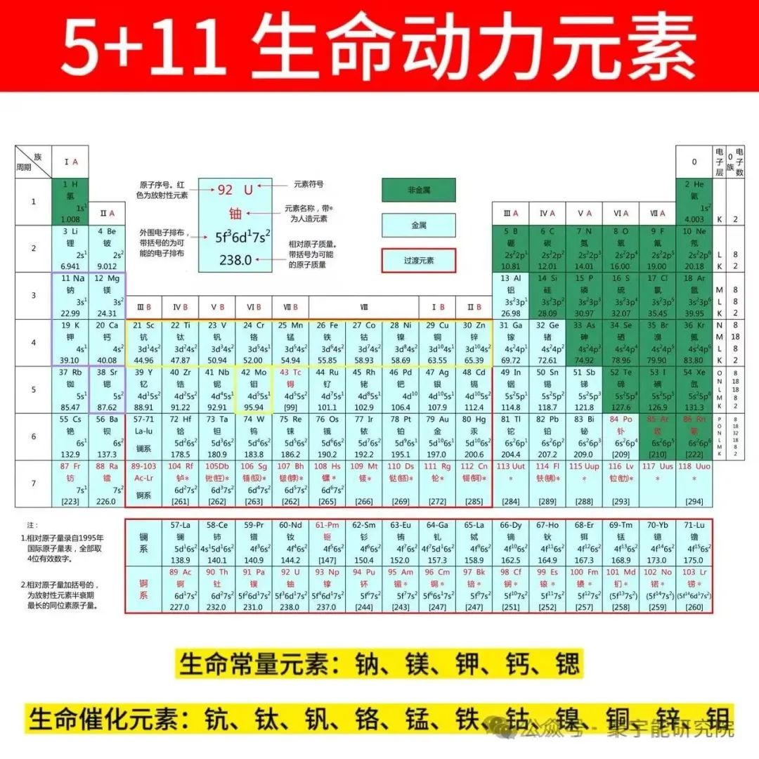 金日光教授：（六十六）永不忘当年钱老劝导我们“用当代科学传承《黄帝内经》医理和建立《中药本草》科学药理标准”的教导(图25)