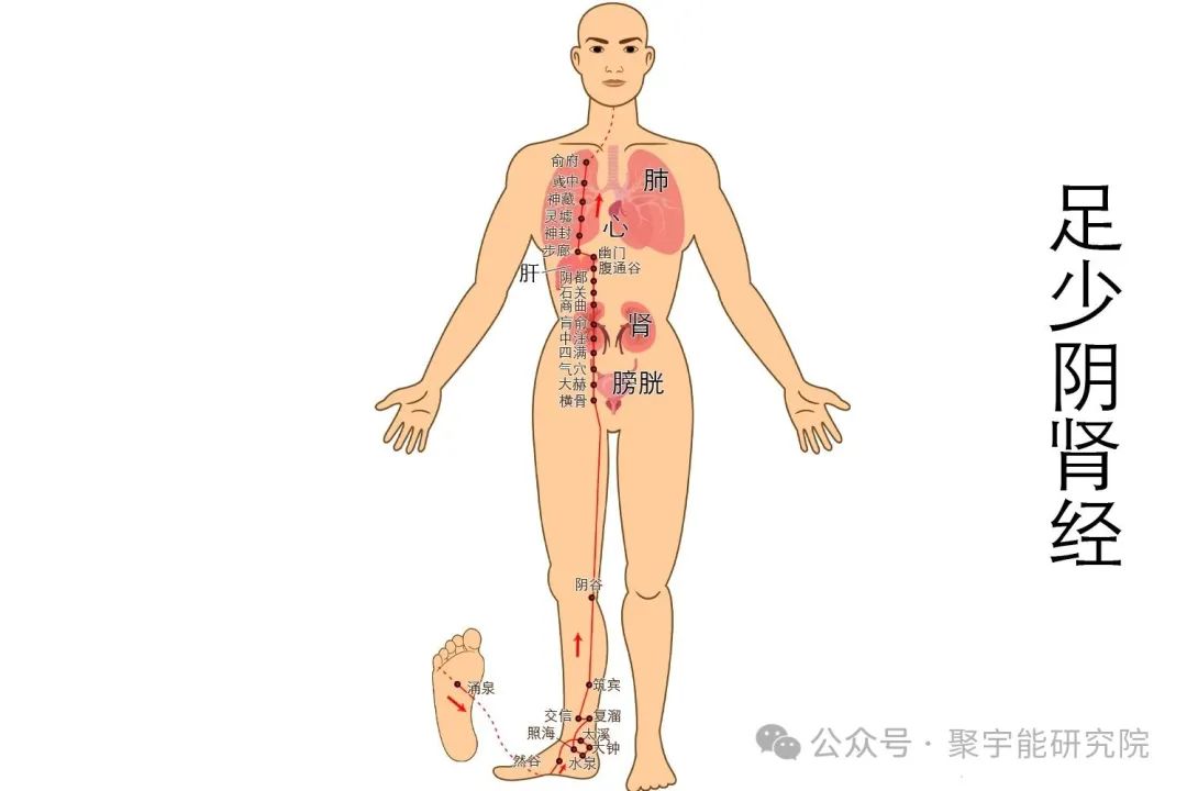 一个简单动作就能不生病？秘密在于“水火相济”！(图7)