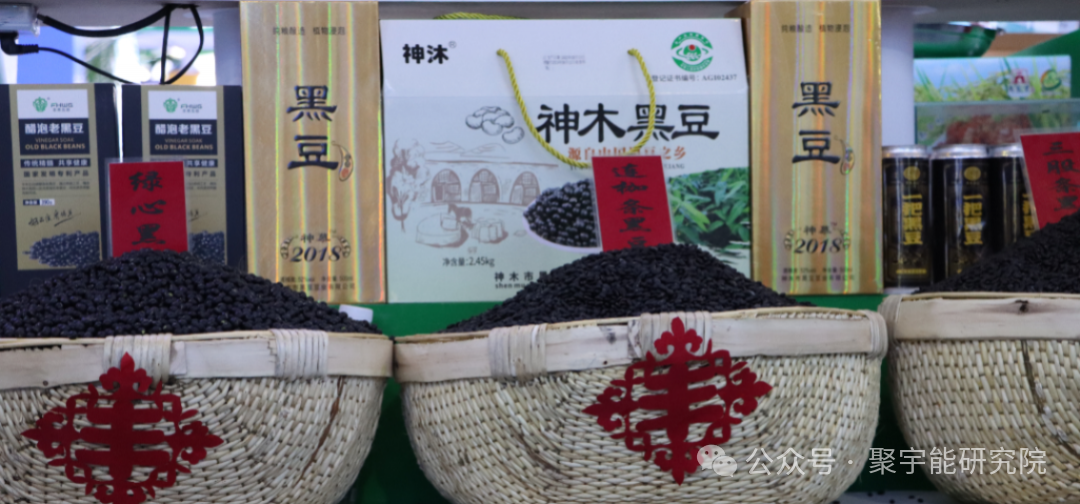 永不忘当年钱老劝导我们“用当代科学传承《黄帝内经》医理和建立《中药本草》科学药理标准”的教导·六十九(图5)