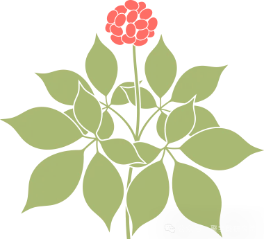 金日光教授：（七十二）永不忘当年钱老劝导我们“用当代科学传承《黄帝内经》医理和建立《中药本草》科学药理标准”的教导(图3)