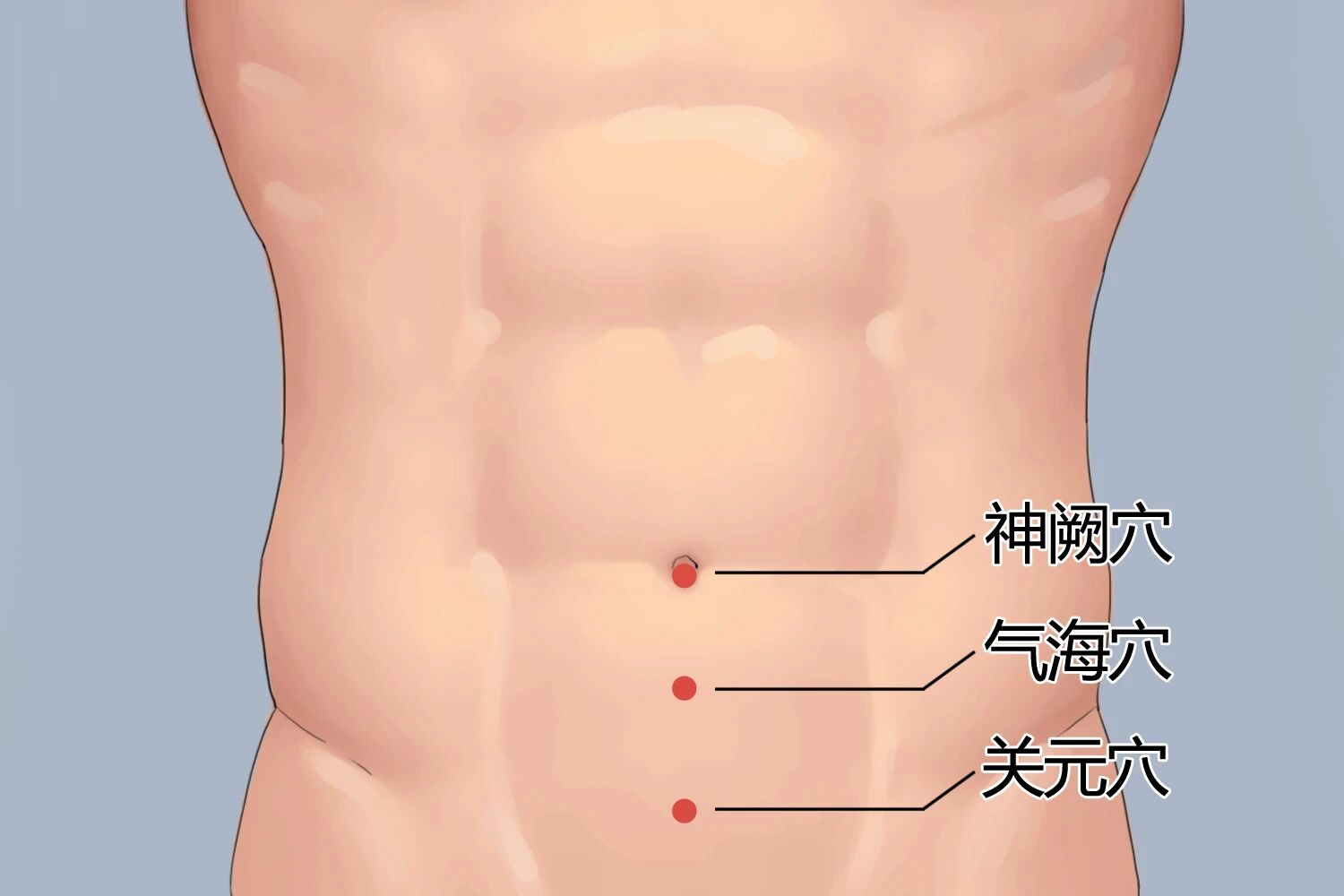 国庆随笔|人体五大根本穴位:从足三里到神阙,探索人体的生命枢纽(图5) 3a.jpg