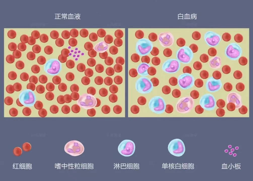 新篇|金日光教授:(四)如何看待当前的医理和药理?(图2) 1a.png