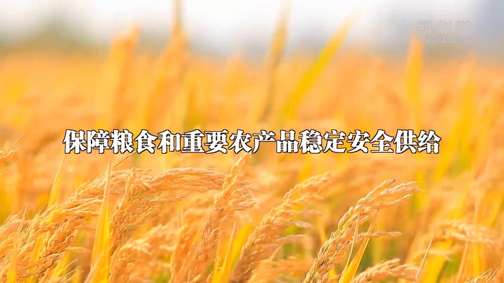 新华全媒+｜从中央农村工作会议看2023年“三农”工作这么干(图2)