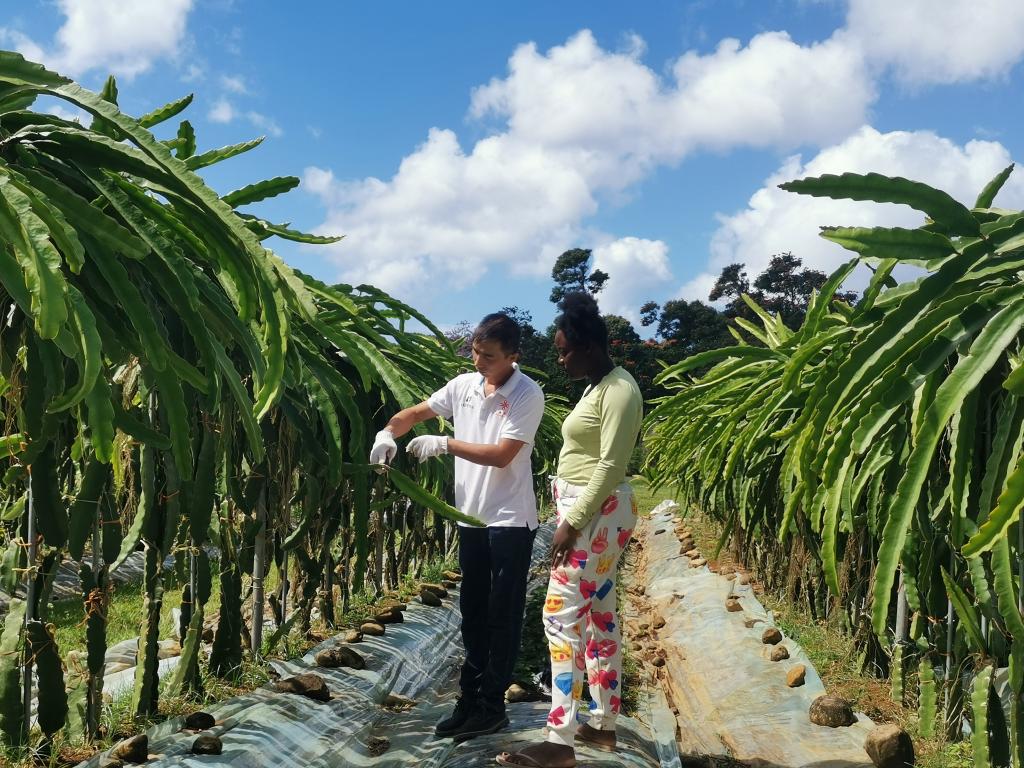 元首外交丨当“拉美味道”遇上“中国机遇”——中拉命运共同体之船扬帆远航(图4)