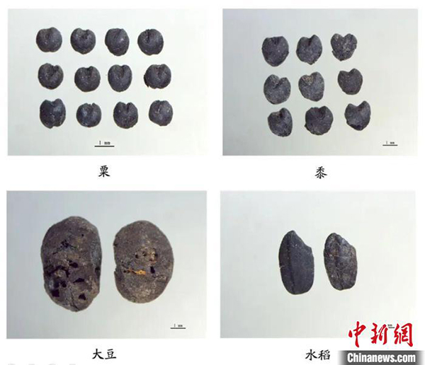 山西发布运城东渠遗址考古成果：或可证实“后稷教民稼穑于稷山”(图3)