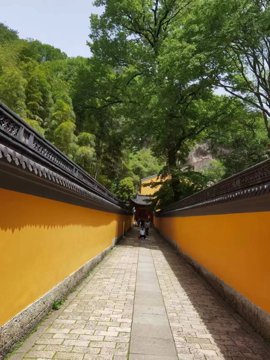 岑国荣丨新昌大佛寺的文化视角(图17)