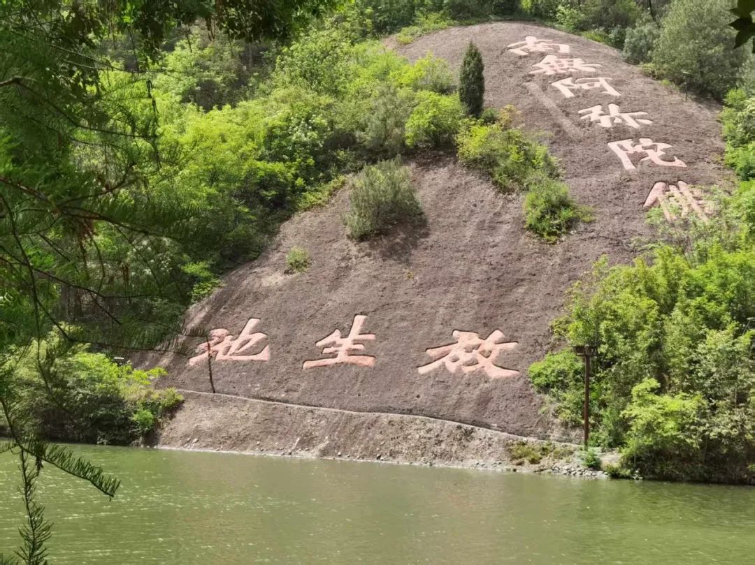 岑国荣丨新昌大佛寺的文化视角(图25)