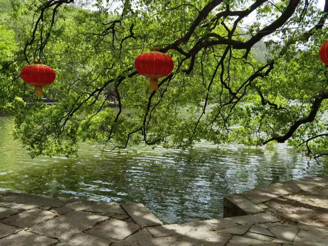 岑国荣丨新昌大佛寺的文化视角(图29)