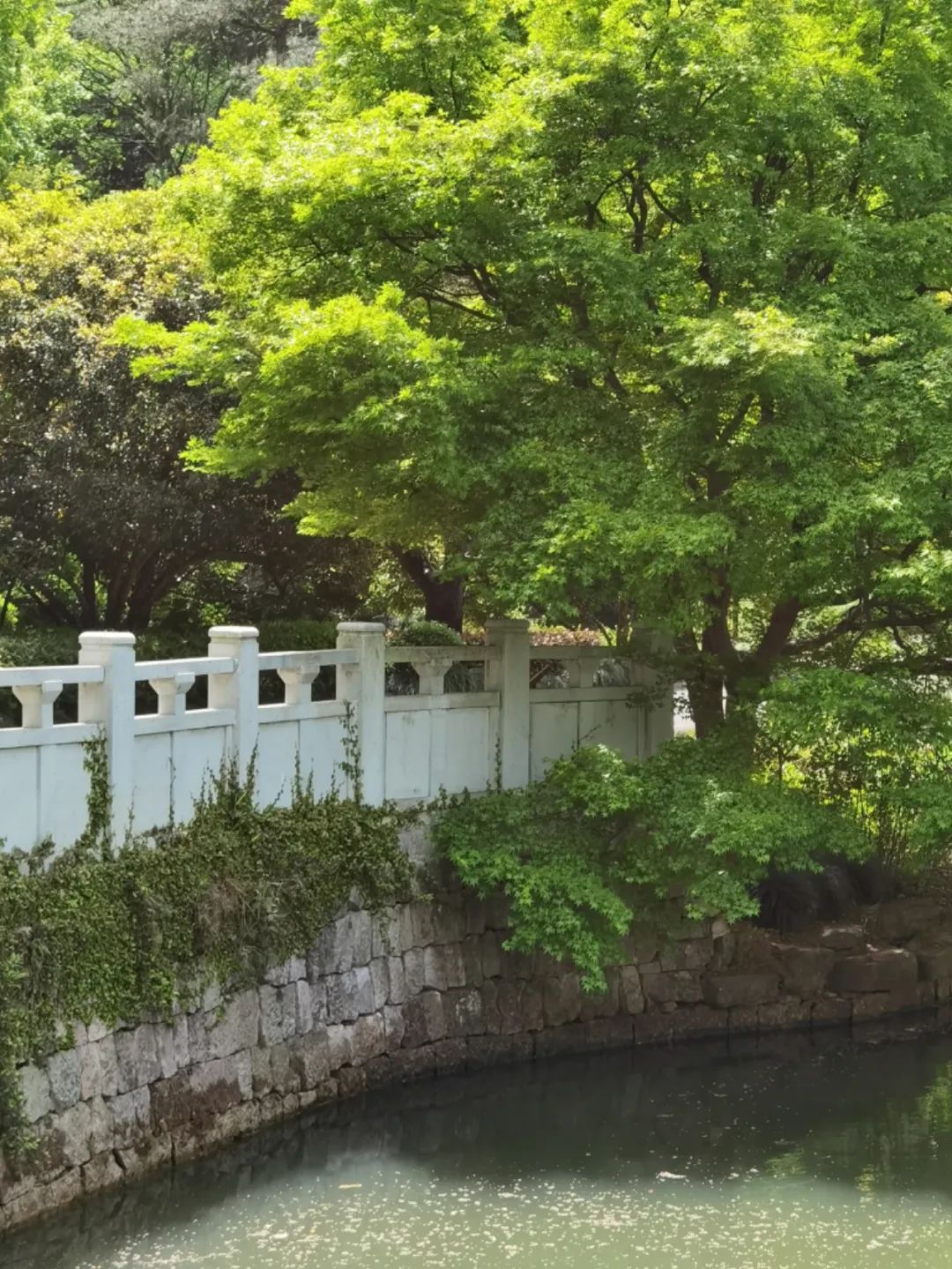 岑国荣丨新昌大佛寺的文化视角(图30)