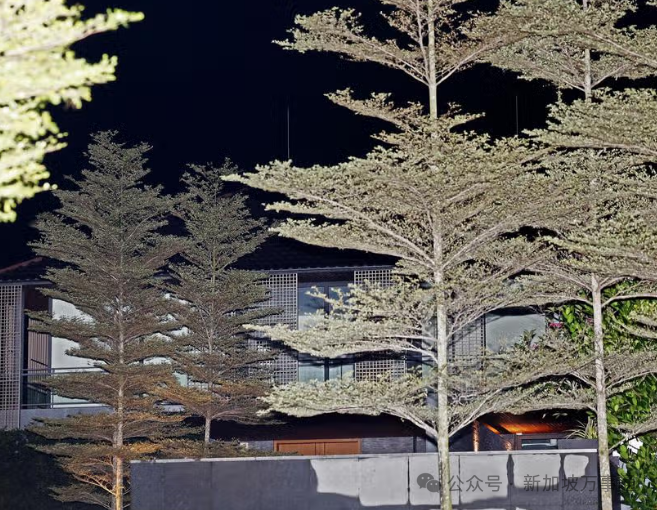 神秘男操盘新加坡跨国洗钱，洋房改成会所赌博、聚会！数名公民PR、中国人被抓…(图9)