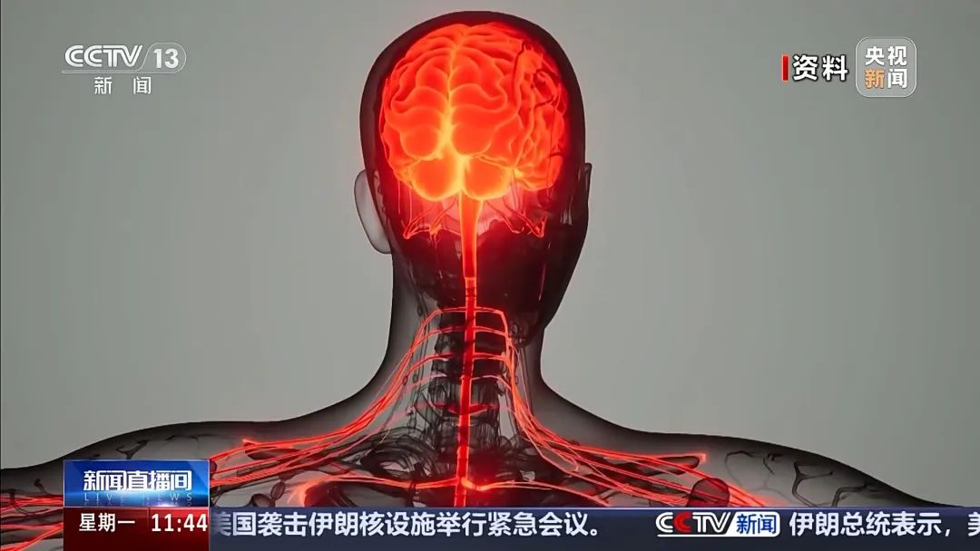 贩毒头目年仅17岁！新型毒品案件曝光(图5)