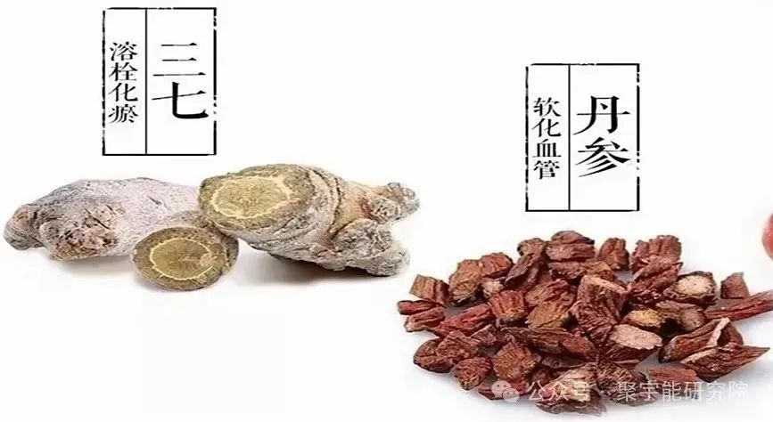 金日光教授：（七十六）永不忘当年钱老劝导我们“用当代科学传承《黄帝内经》医理和建立《中药本草》科学药理标准”的教导(图5)