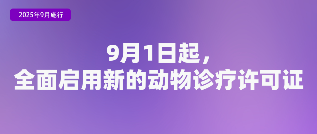 (图12) (图12)