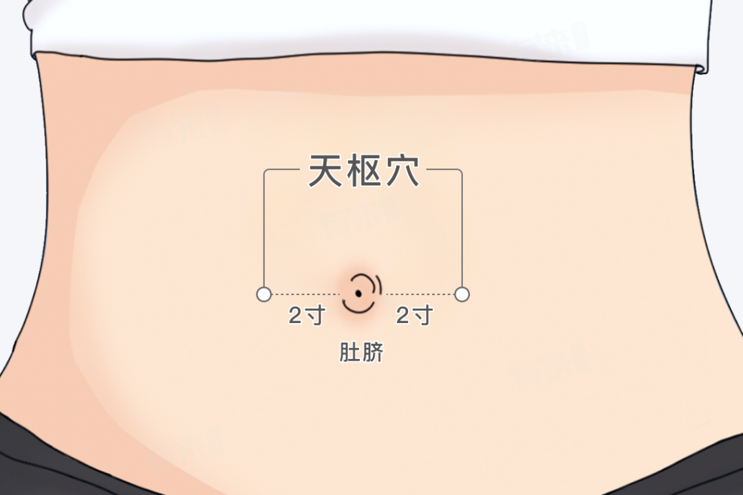 金日光教授:(十三)如何看待当前的医理和药理?(图11) 金日光教授:(十三)如何看待当前的医理和药理?(图11)