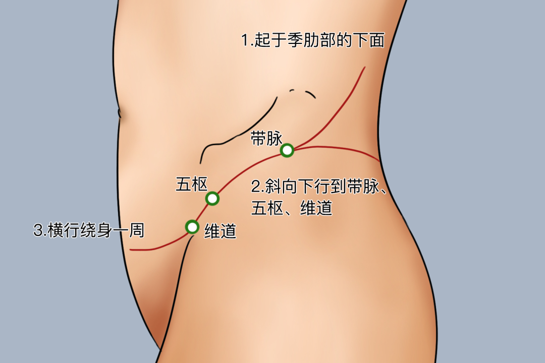 金日光教授:(十三)如何看待当前的医理和药理?(图12) 金日光教授:(十三)如何看待当前的医理和药理?(图12)