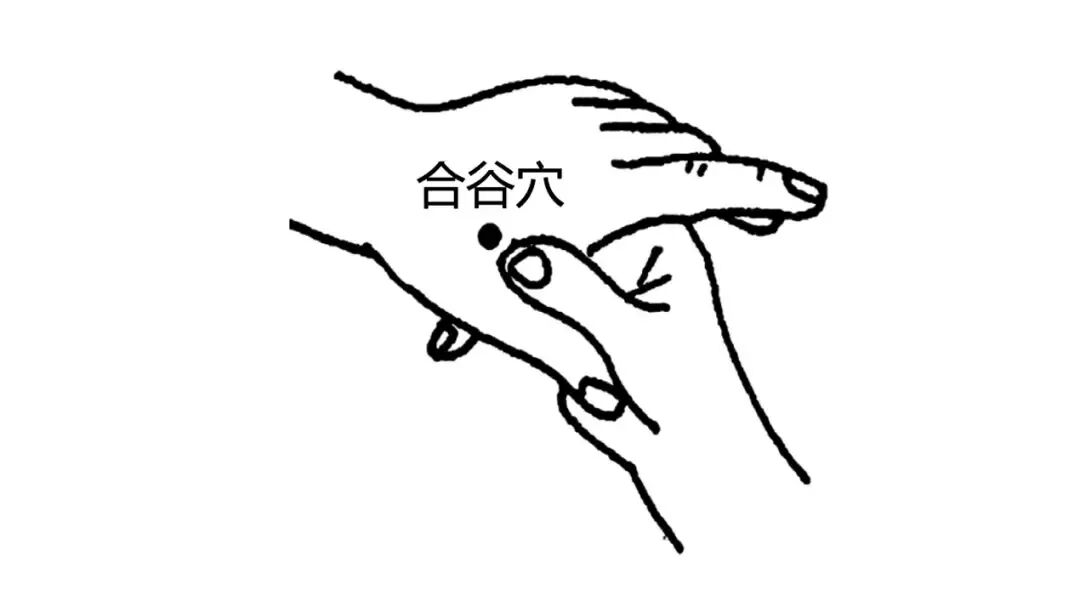金日光教授:(十三)如何看待当前的医理和药理?(图16) 金日光教授:(十三)如何看待当前的医理和药理?(图16)