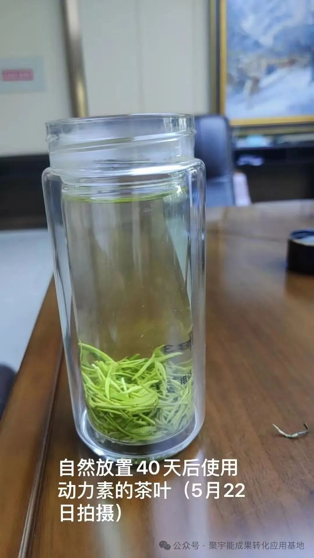惊艳!聚宇能农用生态动力素赋能茶叶种植,品质增产双丰收!(图8) 惊艳!聚宇能农用生态动力素赋能茶叶种植,品质增产双丰收!(图8)