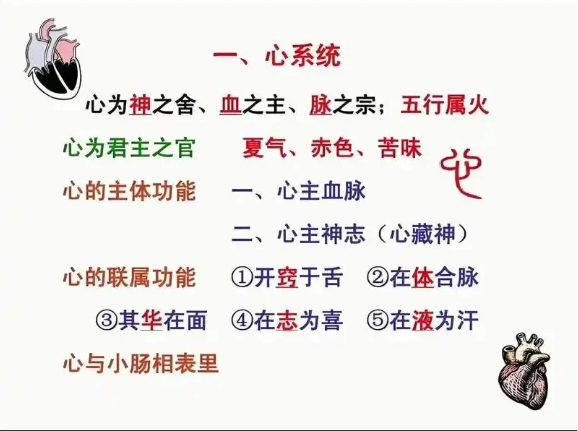 很奇怪,脚受了大伤,就说“心里怕得要命”而不说“脑袋怕得要命”,为什么?(图3) 3.png