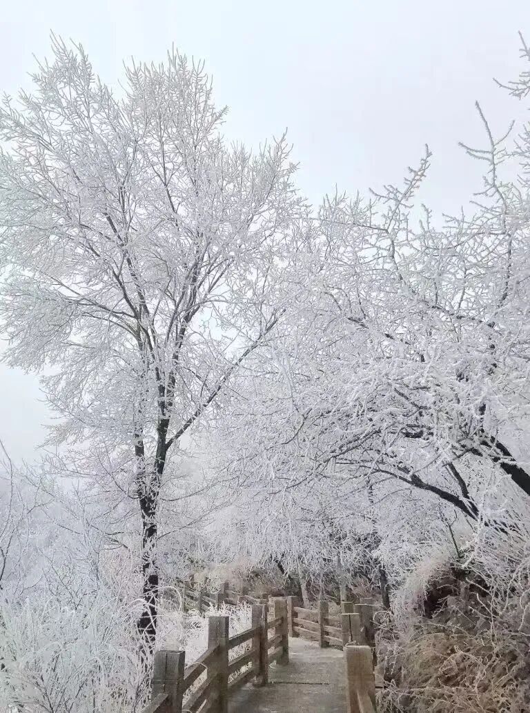北京今晚到明天还有雪!3月为什么还有鹅毛大雪?专家解读(图2) 北京今晚到明天还有雪!3月为什么还有鹅毛大雪?专家解读(图2)