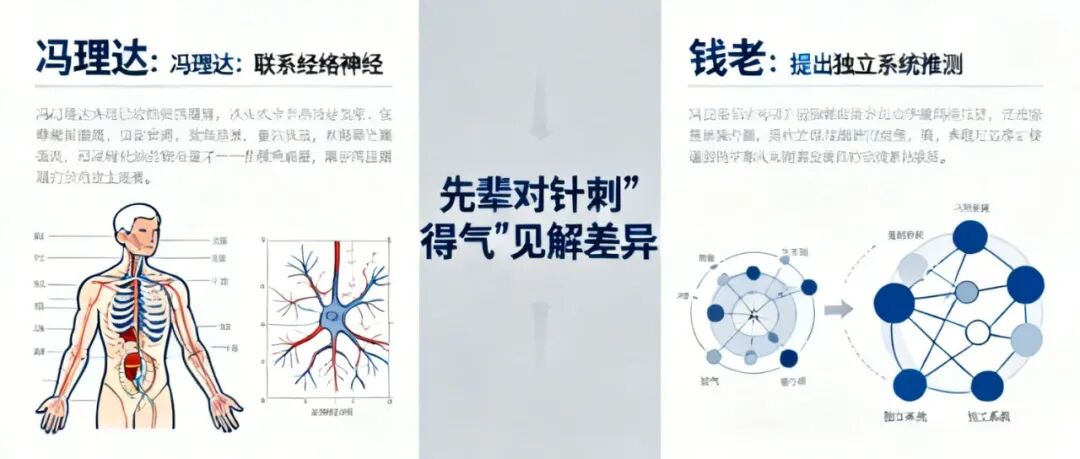 (图1)