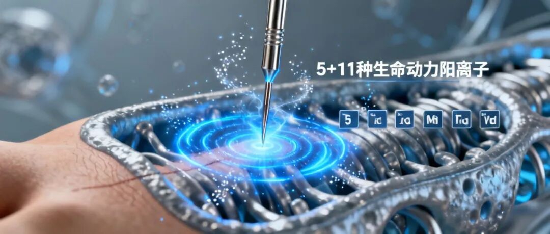 (图2) 2.jpg