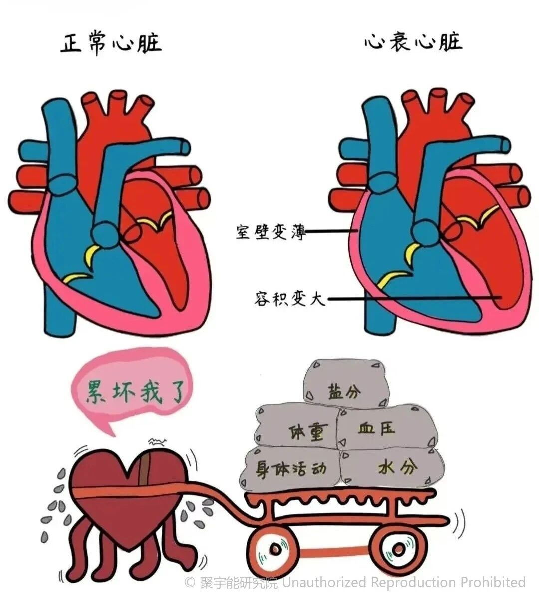 (图6) 2.jpg