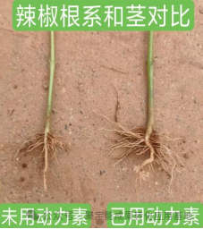 (图1) 1.png