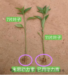 (图2) 2.png