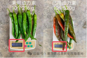 (图4) 4.png