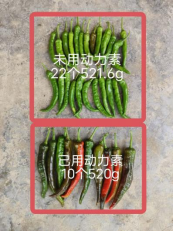 (图5) 5.png