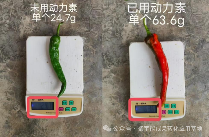 (图3) 3.png