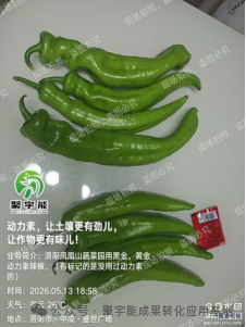 (图8) 8.png