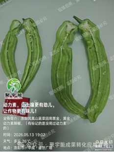 (图9) 9.png