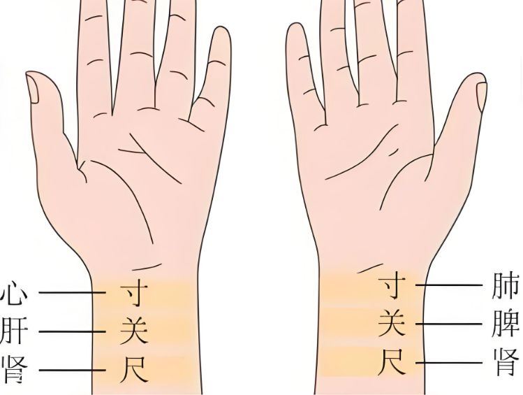 (图11) 2.png