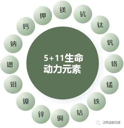 (图14) 3.jpg