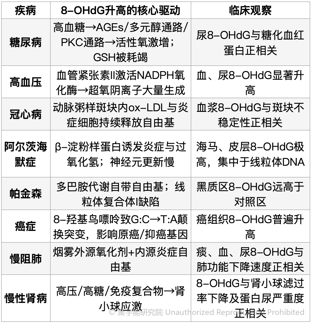 (图11) (图11)