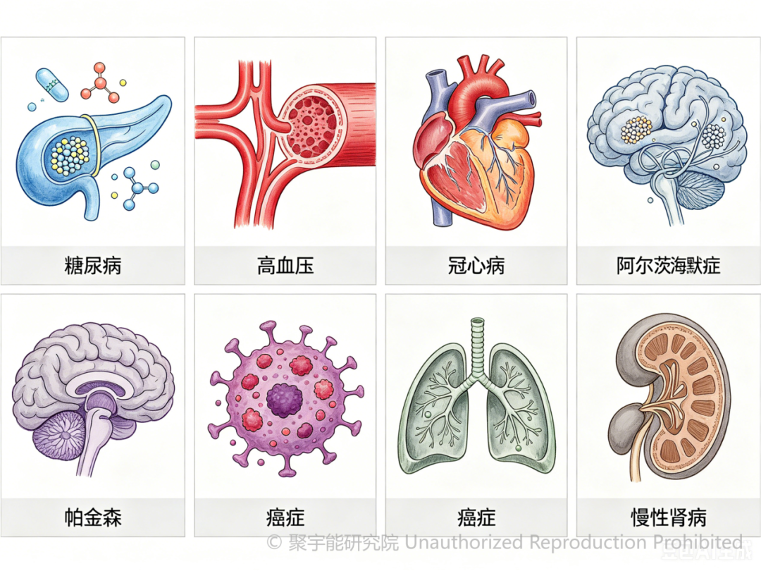 (图12) (图12)