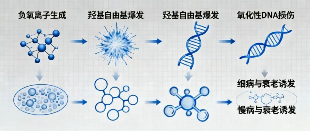 (图1) (图1)