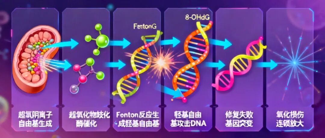 (图6) (图6)