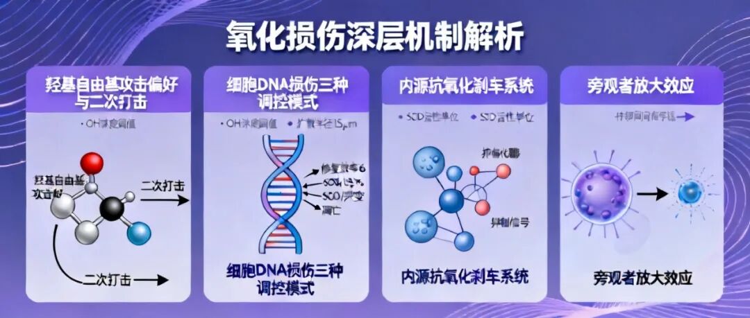 (图7) (图7)