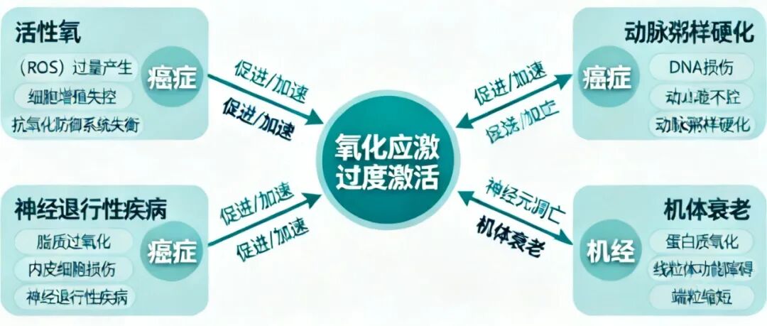 (图8) (图8)