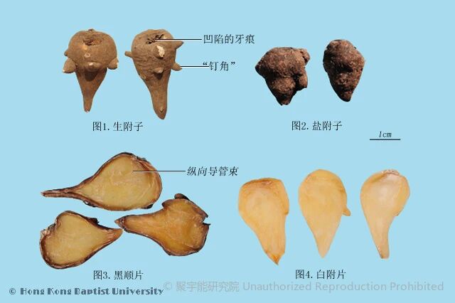 (图4) 1.jpg